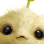 Cj7