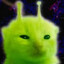 glorp glorp