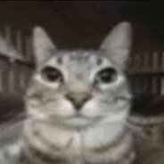 Random avatar
