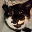 Alfred