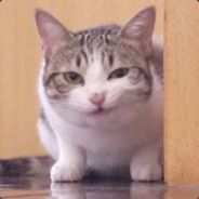 [HAN]匈奴装甲师