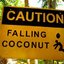 Evilcoconut