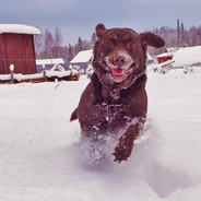 怕你是在做梦哦
