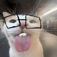blehhhh cat
