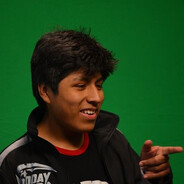 EL CATADOR DE ALPACAS