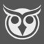 Coding Owl