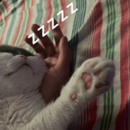 梁山伯和猪硬来