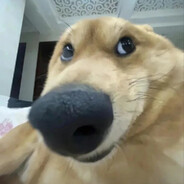 拖鞋