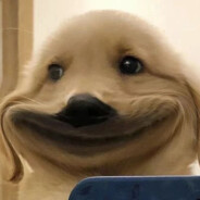 我才练习两年半