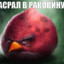 Сижу не рыпаюсь