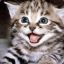 (G-S.N) Kitty