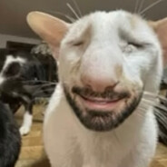 Manixus