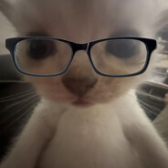Avatar snapshot
