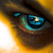 madwolf - steam id 76561197970199696