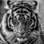 Tigerian