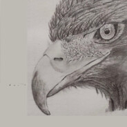BloodEagle