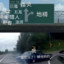 沃斯尼椰椰