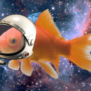 SpaceFish