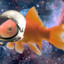 SpaceFish