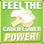 CauliflowerPower