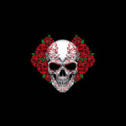 Bloody Revenge's Steam avatar