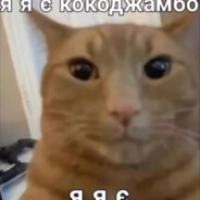 . avatar