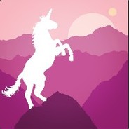 hgy007 - steam id 76561197960478005