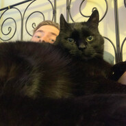 Sir Christoff III SKINS