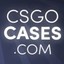 ssenkaewcsgocases.com