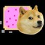 Doge_Shensiming