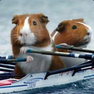 matomax - steam id 76561197975705471