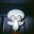 Guedes