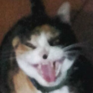 Jota