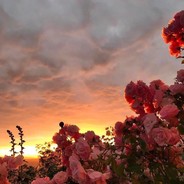 温柔原来不值钱！