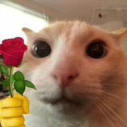 Blyäblökö
