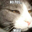 Miau