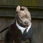 John Wick Dogo