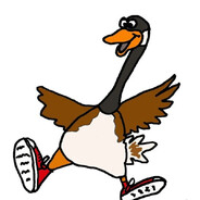 Гусь Лапчатый