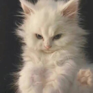 当时年少掷春光