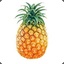 SH0ANANAS