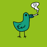 Ducks
