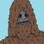 Sassy The Sasquatch