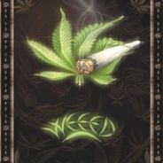 _ThC_aka_kasztanq™