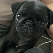 EndermitA Steam avatar
