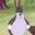 Big Chungus