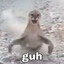 guh