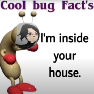 Coolest Bug Fact