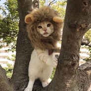 autistic（孤独症）