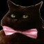 BOT Robert
