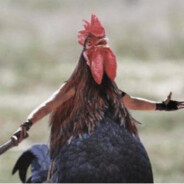 Fearless Chicken